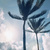 Auto-generated description: Two tall palm trees sway under a partly cloudy sky with the sun shining through.