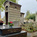 Graves and tombs at Montparnasse cemetery