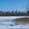 A frozen lake at Roebling Memorial Park in the Abbott Marshlands, covered in a smooth layer of snow, stretches toward a tree-lined shoreline. Bare trees stand against a clear blue sky, with a few houses visible beyond the wooded area. In the foreground, dried reeds and fallen branches protrude from the snow, adding depth to the winter landscape.