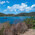 Panoramic view of a sheltered Caribbean bay with sailboats at anchor, framed by scrubby hillside vegetation and green hills dotted with houses