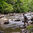 A man carrying fishing gear stands on rocky riverbank beside a fast-flowing forest stream