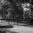 Empty swings in a quiet, tree-lined park playground, photographed in black and white
