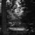 Empty playground with a slide and swings, viewed through a frame of dark trees in a black-and-white photograph