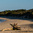 Driftwood stump on a sandy beach beside dune grasses and shrubs, with gentle waves lapping the shore