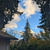 Auto-generated description: A clear blue sky with scattered clouds is framed by tall evergreen trees and the corner of a house roof.
