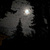 Auto-generated description: A moonlit night sky is partially obscured by scattered clouds and framed by silhouetted trees.