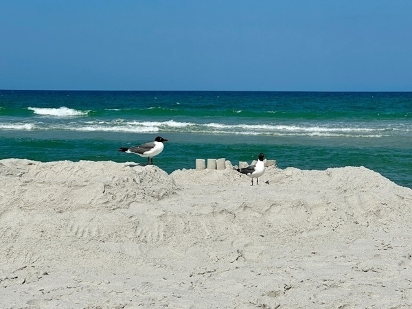 Strandimpression in Jacksonville