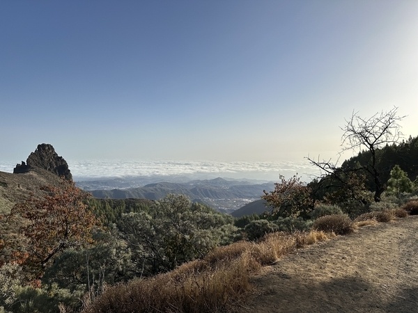 Eine landschaftliche Aussicht zeigt ein Gebirge mit Bäumen im Vordergrund und Wolken am Horizont.
