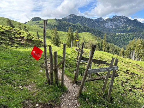 Ein schmaler Wanderweg führt durch ein Holzgatter auf grünen, hügeligen Wiesen mit einem roten Wanderwegmarker, während im Hintergrund bewaldete Hügel und Berge unter einem bewölkten Himmel sichtbar sind.