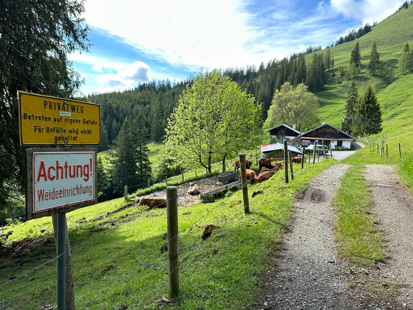 Ein ländlicher Weg führt zu einer Schönalm mit grasenden Kühen, umgeben von Bergen und Bäumen, mit Schildern, die auf private Wege und Weidetiere hinweisen.