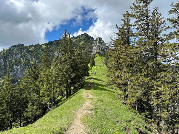 Ein schmaler Wanderweg führt durch eine grüne Berglandschaft mit Tannenbäumen unter einem teilweise bewölkten Himmel.