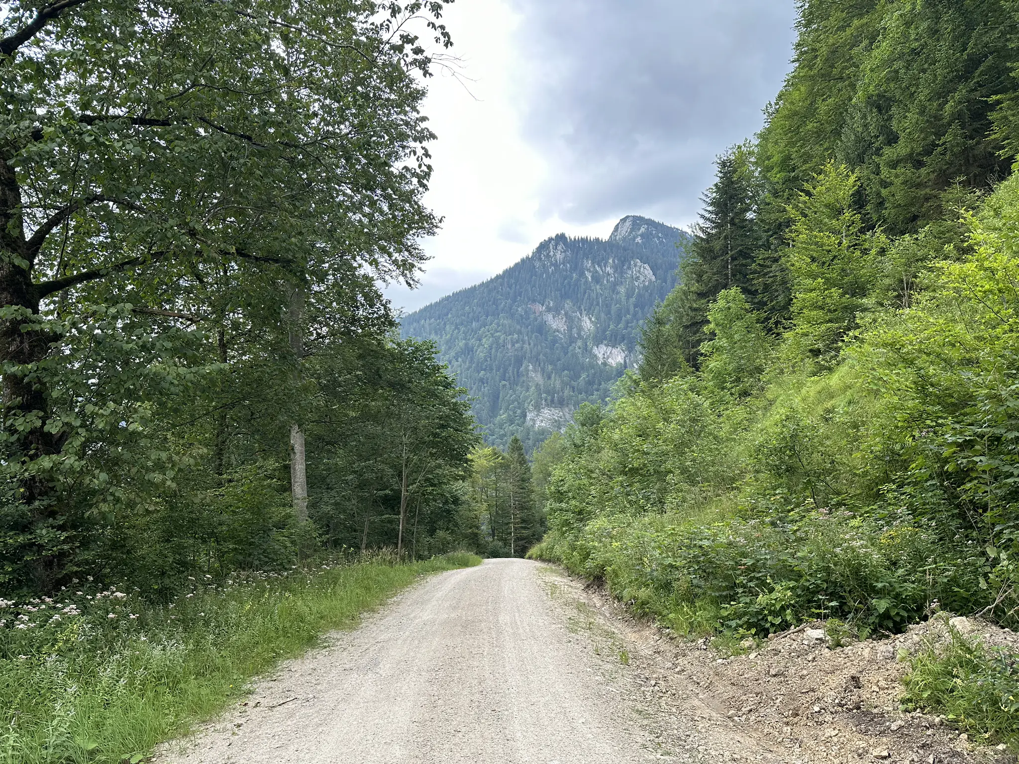 Steiler Schotterweg durch den Wald mit kräftiger Steigung.