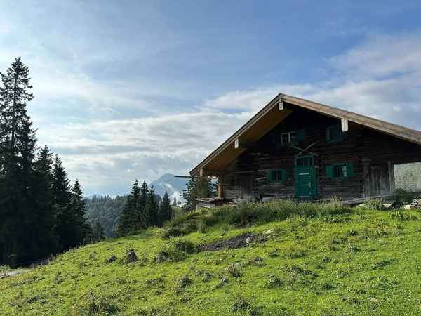 Eine rustikale Holzhütte steht auf einer grünen Wiese, umgeben von Bäumen, mit Bergen im Hintergrund.