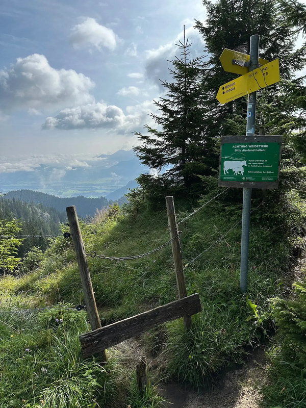 Ein Wanderweg auf einem Berg mit einem Warnschild für Weidetiere, einem Wegweiser mit gelben Schildern und einem einfachen Holztor.