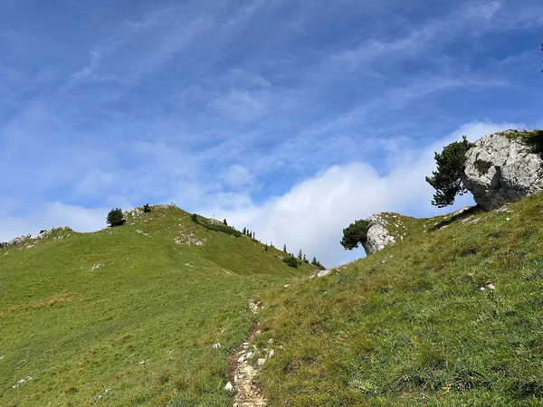 Ein schmaler Wanderweg führt über eine grüne, grasbewachsene Hügellandschaft mit vereinzelten Felsen und Bäumen unter einem blauen Himmel.