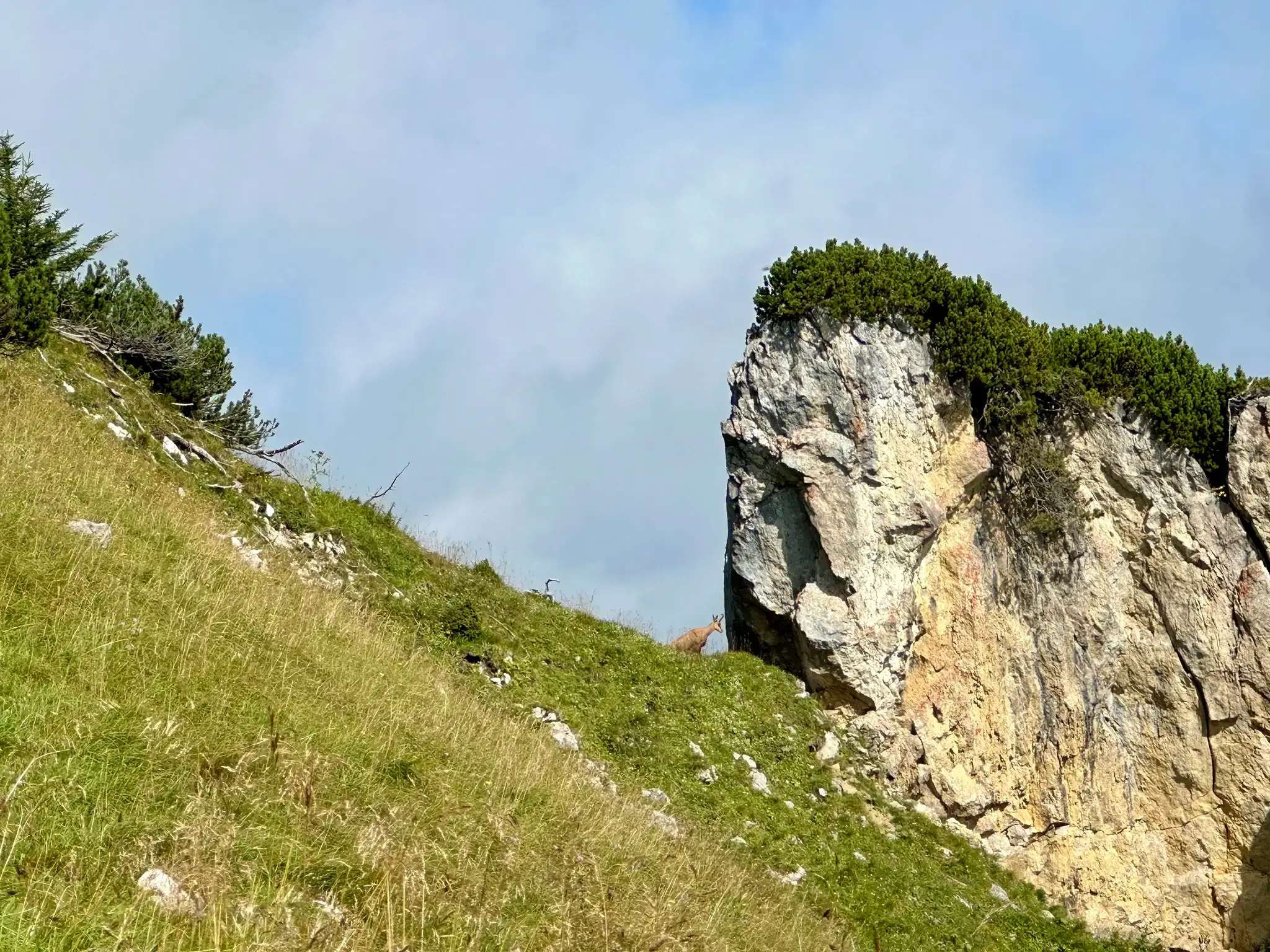 Wendelsteinmassiv Impression