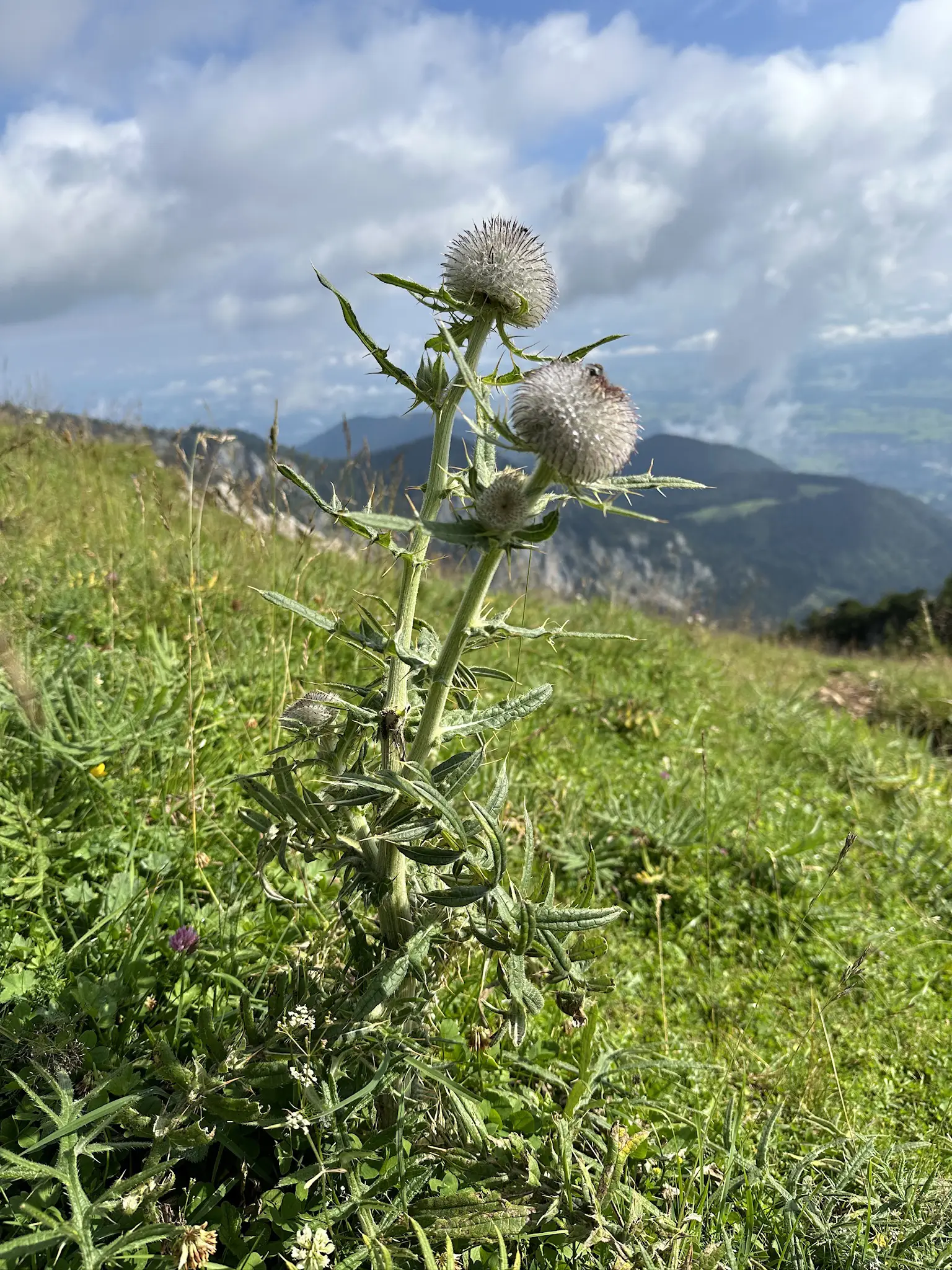 Wendelsteinmassiv Impression