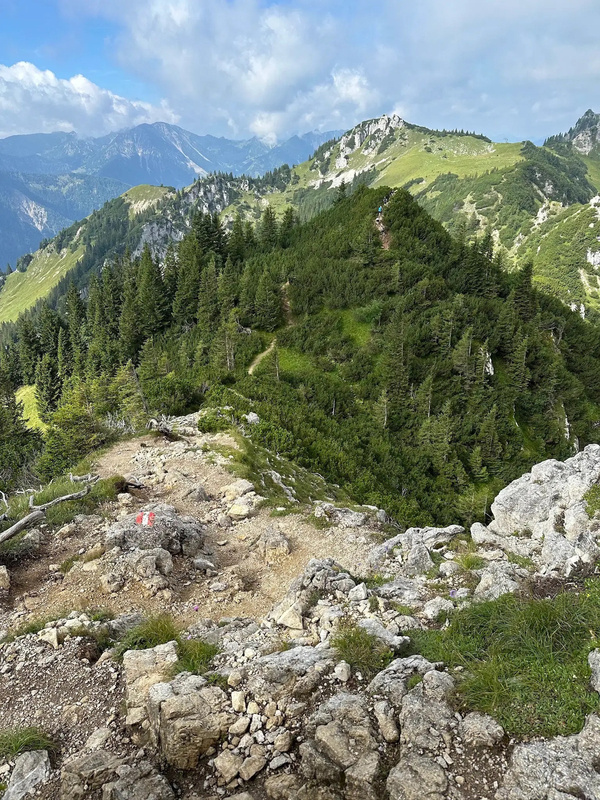 Eine hügelige, bewaldete Berglandschaft mit einem Wanderweg und klarem Himmel im Hintergrund.