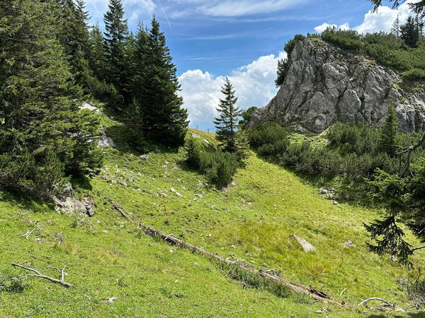Eine malerische Alpinenlandschaft mit grüner Wiese, Nadelbäumen und einem felsigen Hügel unter einem blauen Himmel.