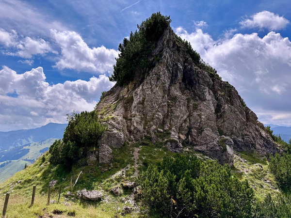 Ein felsiger Hügel mit üppigem Grün und einem klaren Himmel im Hintergrund.