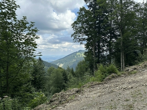 Weitblick über Felder und Wälder mit Bergen im Hintergrund.