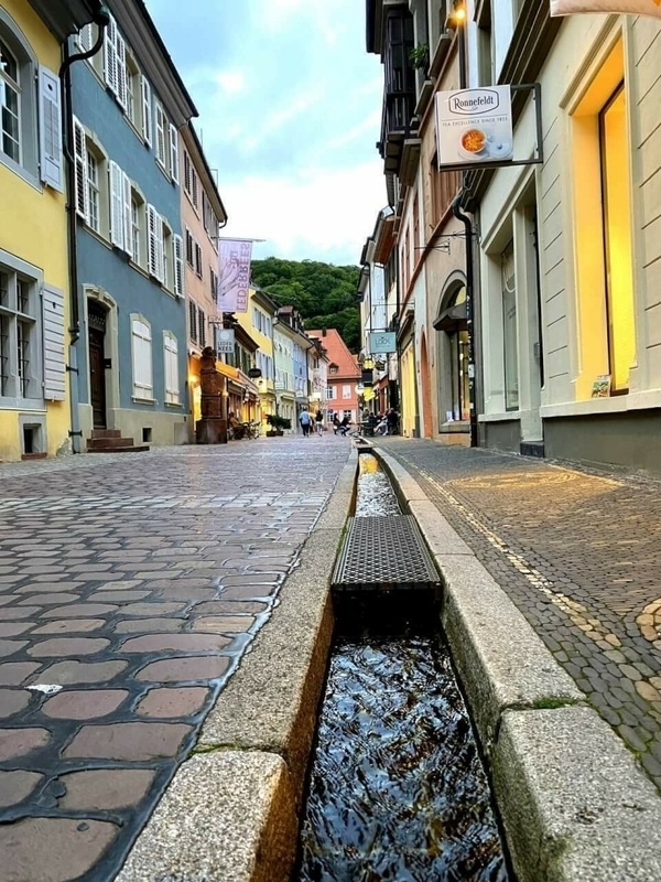 Typischer Blick an einem sommerlichen Abend in eine Freiburger Gasse mit den berühmten Freiburger Bächele