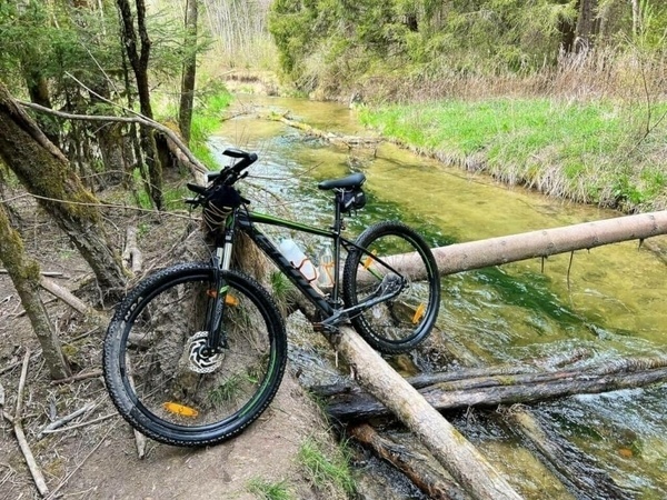 Uff! Auf den Baumstämmen über den Seitenarm der Isar balancieren. Ging natürlich schief.