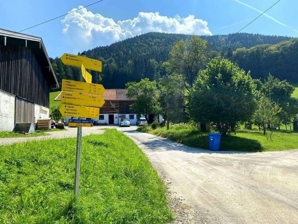 Unterwegs mit dem Fahrrad, die Berge im Blick