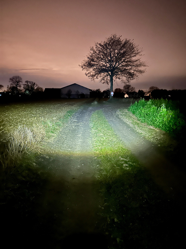 Ein beleuchteter Feldweg führt zu einem einsamen Baum, während der Himmel in der Abenddämmerung rosa schimmert.