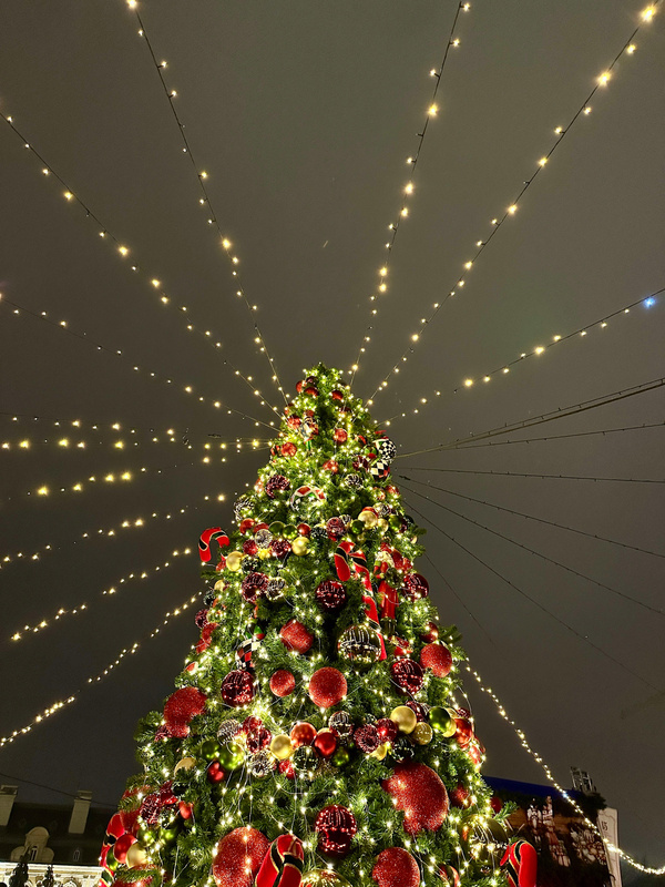 Ein festlich geschmückter Weihnachtsbaum mit roten und goldenen Kugeln wird von vielen Lichtern umrahmt, die strahlenförmig in den Himmel leuchten.