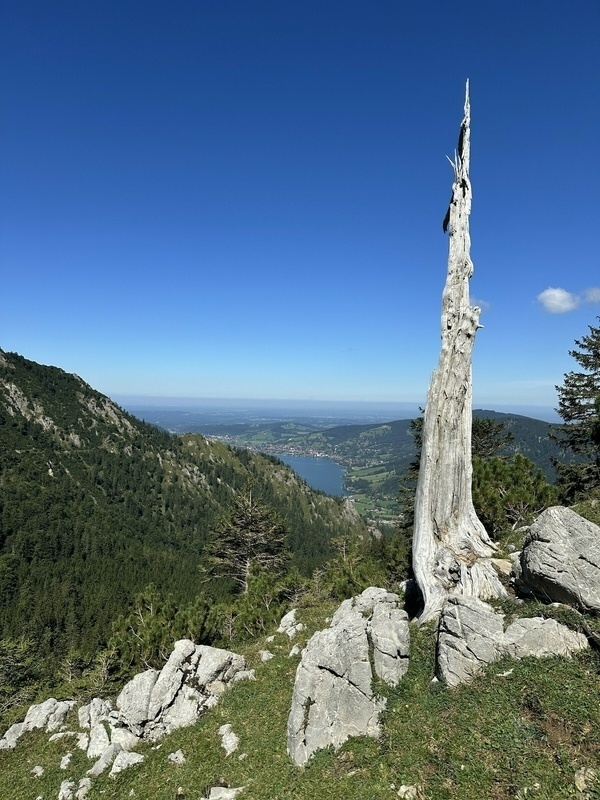 Brecherspitz Impression