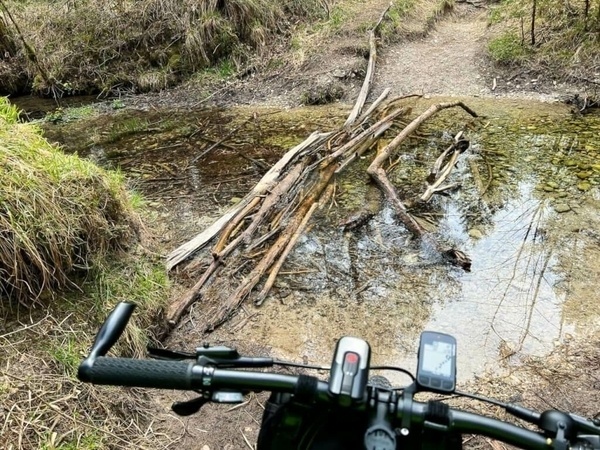 Kleiner Wasserlauf in einem Trail