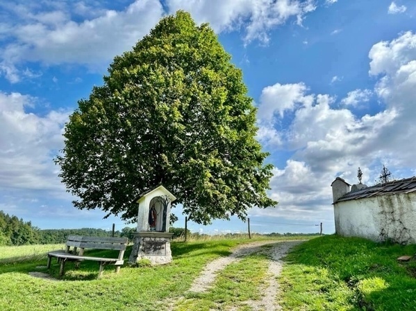 Linde mit Bank zum Sitzen hinter der St. Johann Baptist-Kappele in Münsing Holzhausen.