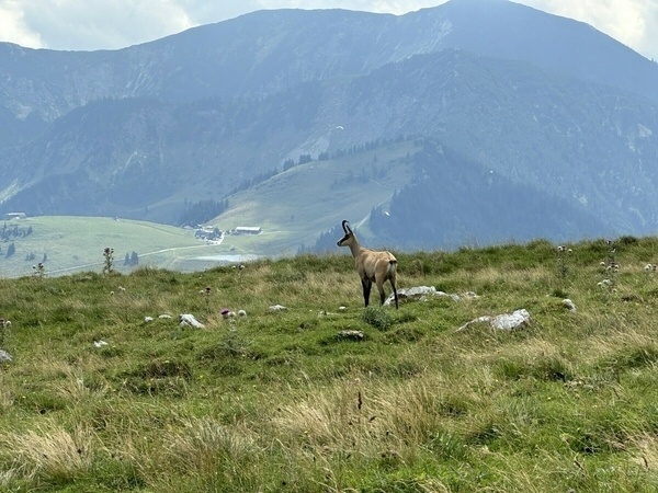 Wendelsteinmassiv Impression