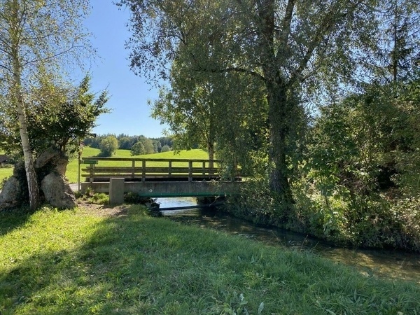 Brücke über einen kristallklaren Bach