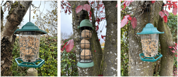 Drei Vogelfutterspender hängen an Bäumen und sind mit Samen und Futterkugeln gefüllt.