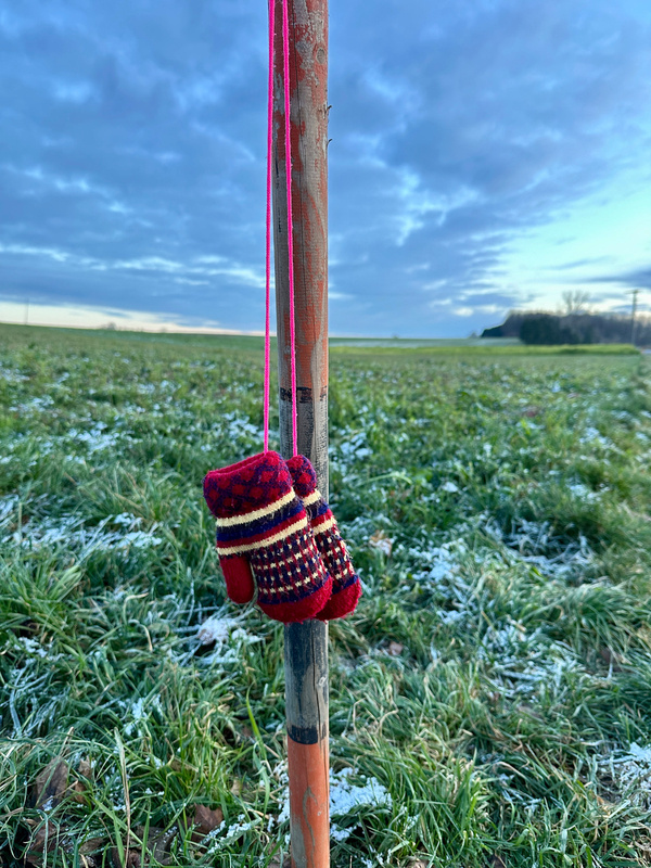 Ein Paar bunte Handschuhe hängt an einem Pfosten vor einer schneebedeckten Wiese unter bewölktem Himmel.