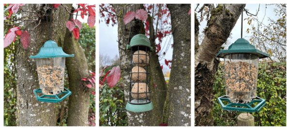 Drei verschiedene Vogelhäuschen mit Futter sind an Bäumen befestigt.