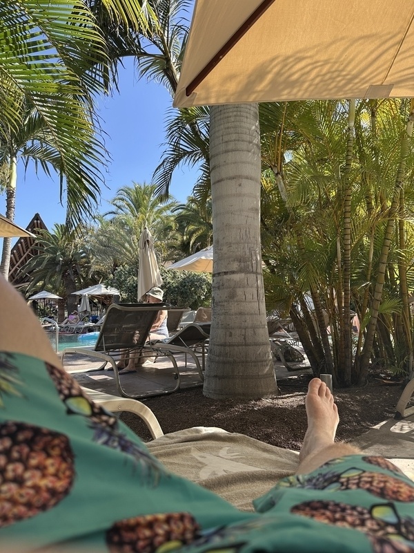 Eine Person entspannt sich in einem Liegestuhl unter Palmen am Pool in einem tropischen Resort.