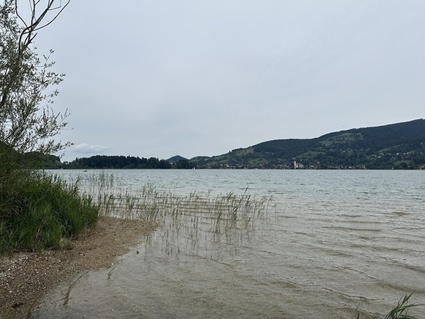 Ein ruhiges Seeufer mit Grasbänken und sanften Hügeln im Hintergrund unter grauem Himmel.