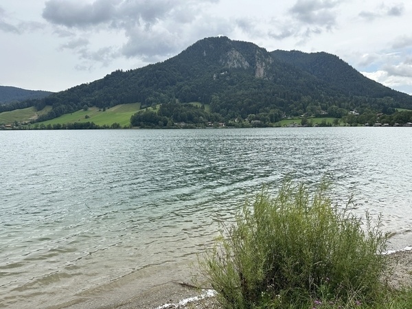 Ein See mit sanften Wellen, gesäumt von Grün, im Hintergrund erhebt sich ein Berg unter wolkenverhangenem Himmel.