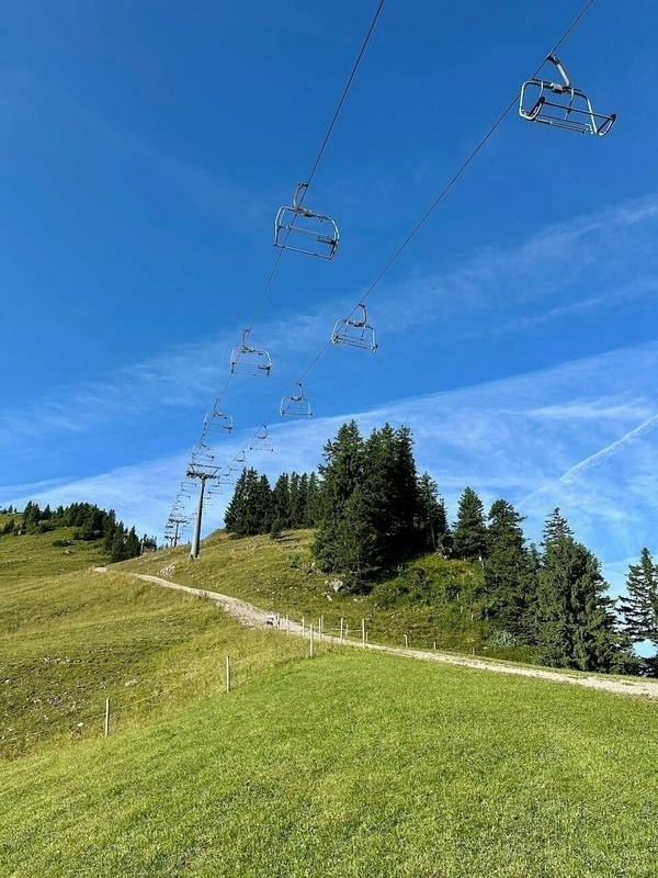 Ein Sessellift führt über eine grüne Wiese, gesäumt von Bäumen unter einem klaren blauen Himmel.
