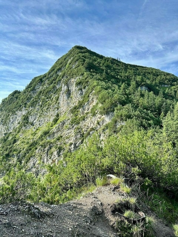 Ein bewaldeter Berg erhebt sich unter einem blauen Himmel mit leichten Wolken.