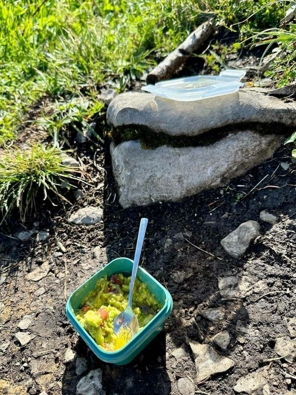 Eine Schüssel mit Guacamole und einem Löffel steht auf dem Boden neben einem großen Stein in einer natürlichen Umgebung.