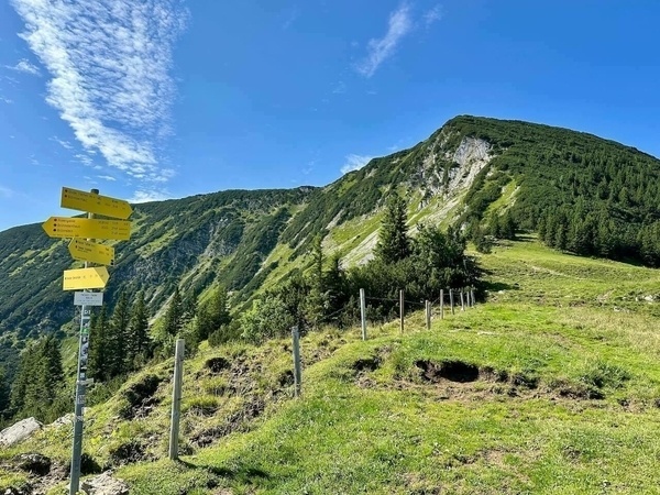 Ein Wanderweg mit gelben Wegweisern führt durch eine grüne Berglandschaft unter einem blauen Himmel.