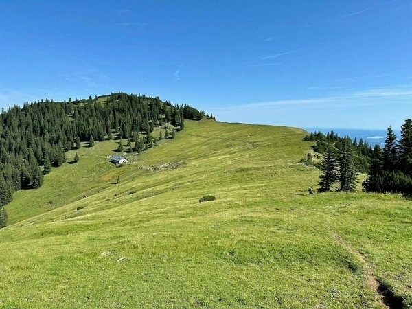 Eine weitläufige, grüne Hügellandschaft mit einer Hütte unter klarem, blauem Himmel.