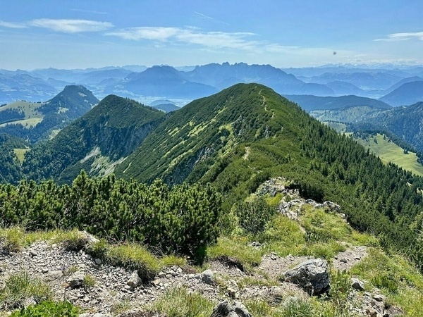 Eine malerische Berglandschaft mit grünen Wäldern und fernem Gebirgspanorama unter einem klaren blauen Himmel.