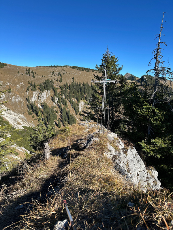 Ein Wanderpfad führt zum Gipfelkreuz vom Wilden Fräulein, mit Bäumen und klarem Himmel.