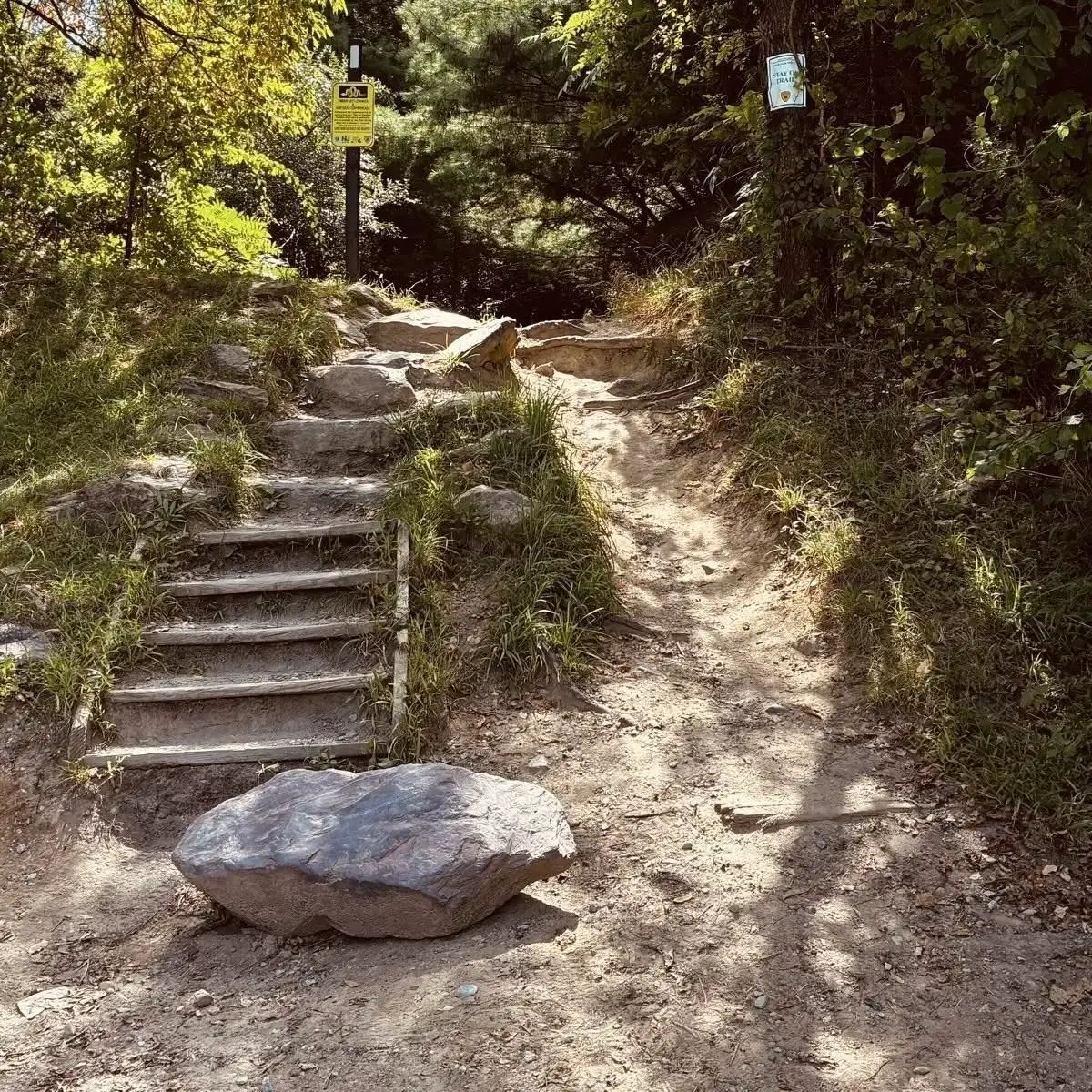 you just gotta know where to get on this trail called life