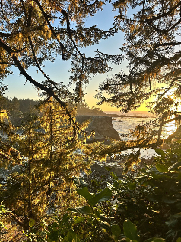 Our annual Sierras trip! This year we started out on the coast, enjoying another In A …